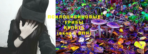 бошки Аркадак