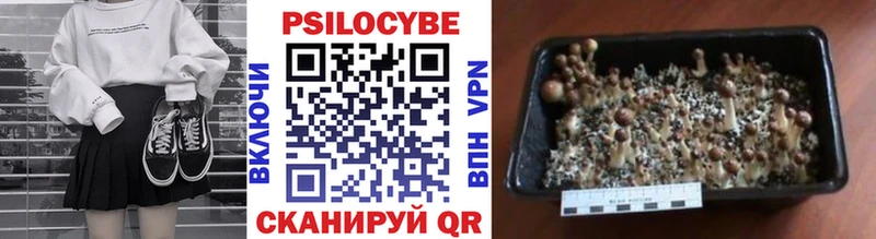 Галлюциногенные грибы ЛСД  Ликино-Дулёво 